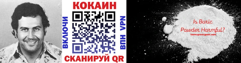 COCAIN Fish Scale  Купить закладки  Котово 