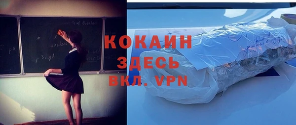 шишки Гусев