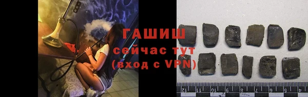 шишки Гусев