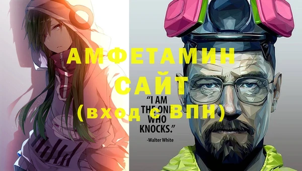 шишки Гусев