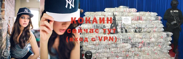 шишки Гусев
