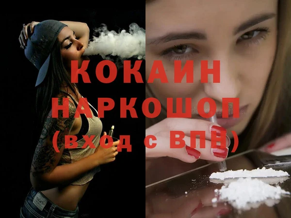 шишки Гусев