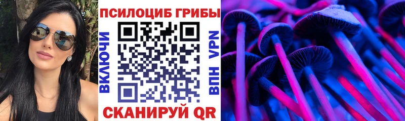 Псилоцибиновые грибы Cubensis Купить закладки Котово